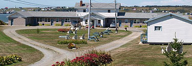 Cape View Motel and Cottages